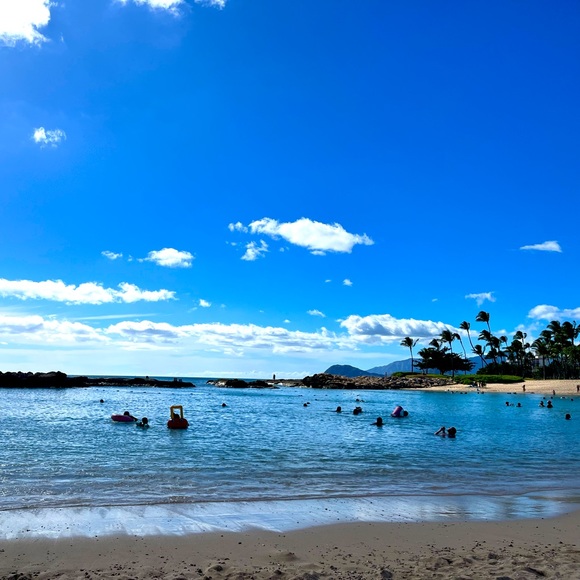 Meet your Posher, Shannon - Picture 1 of 1